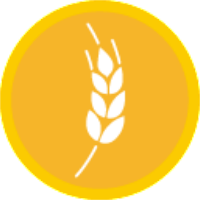 DMTC+_DemeterChain_DMTC+交易所_DMTC+币