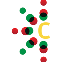CAJ_Cajutel_CAJ交易所_CAJ币