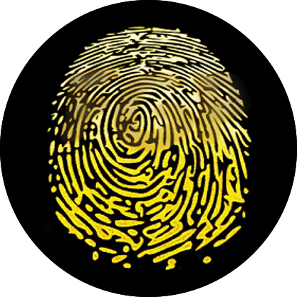 FGP_FingerPrint_FGP交易所_FGP币