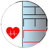 HELI_HealthyLife_HELI交易所_HELI币