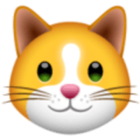 KIF_KittenFinance_KIF交易所_KIF币