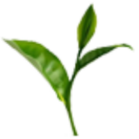 TEA_TEA_TEA交易所_TEA币