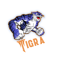 TIGC_Tigra Coin_TIGC交易所_TIGC币