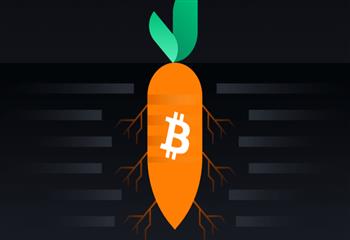 Tap:Taproot激活前瞻 一文了解Bitcoiner该做什么_OOT