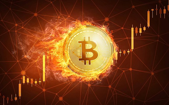 证券时报：区块链概念走强 比特币升破8000美元