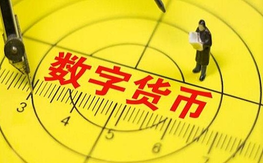 中南财经政法大学盘和林：数字货币将重塑贸易结算体系