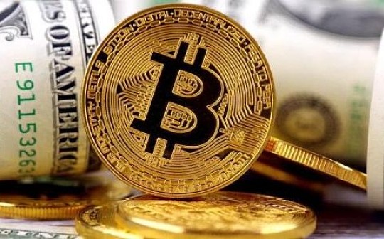 金色观察 | 这些网上商城仅支持BTC支付 星星之火可以燎原