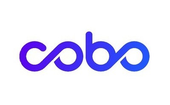 Cobo：2020年对整个行业是至关重要的一年 大家须付出120%的努力