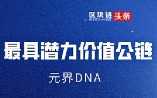 探索最具潜力的价值公链——元界DNA