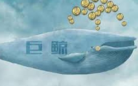成都链安:被盗巨鲸用户可能遭到了持续性攻击