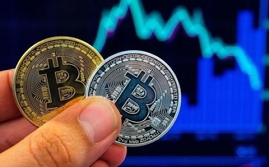 行情周刊丨本周行情重要动态一览
