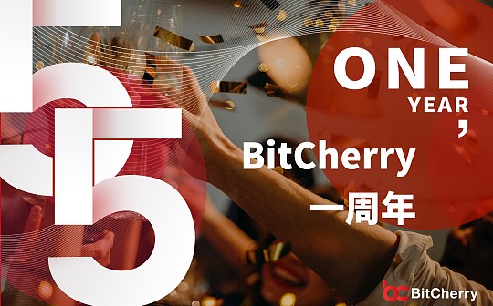 专访Paul丨IPv8技术下 BitCherry分布式商业的新视界