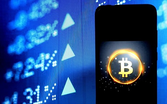 金色观察丨福布斯：加密钱包数据显示比特币处于“牛犊”阶段