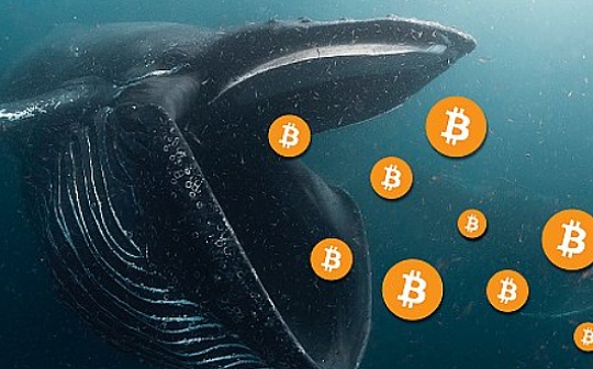 金色前哨 | 数据：过去一个月有27万枚BTC流入巨鲸手中
