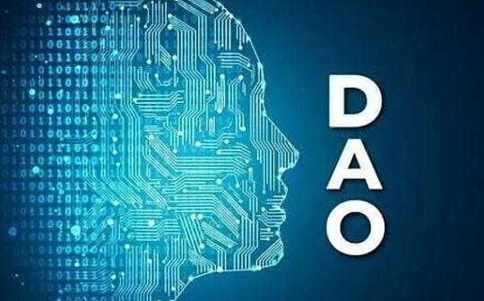 DAO组织中的人才建设