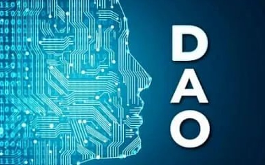 SOL:DAO：自组织运动的新兴领导者_Rocket Venture