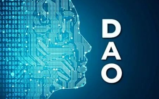 从民主启示录中探寻如何解决 DAO 中的争端