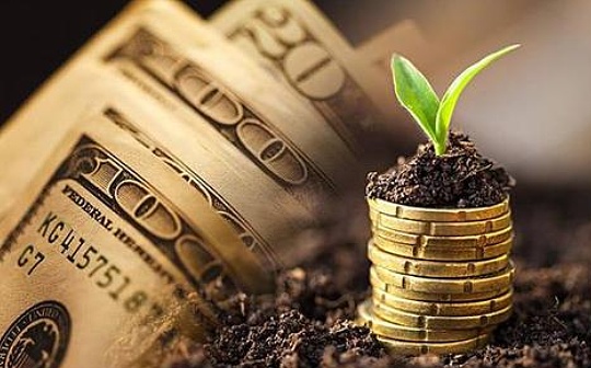 「世界货币」Worldcoin陷入欺诈风波