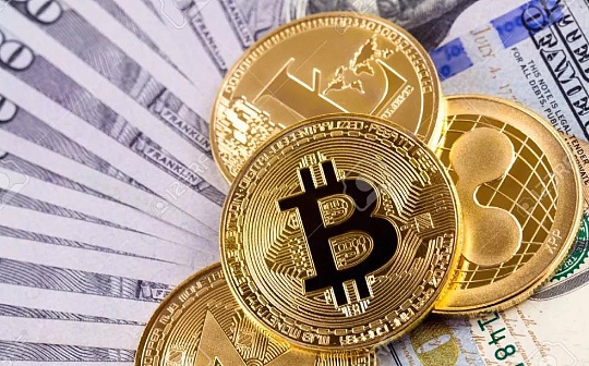 PayPal首席执行官：我们将在数字钱包方面加倍努力