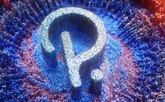 2021年 这些波卡生态项目准备做什么？