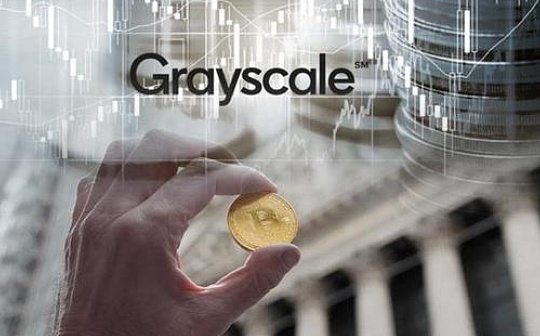 美国银行报告：比特币最大的公共持有者是灰度