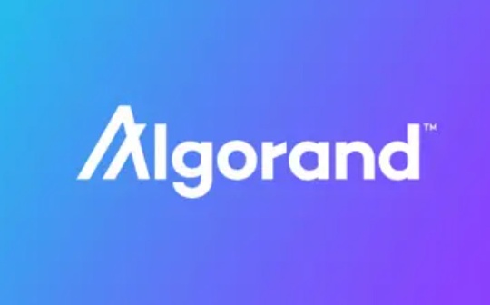 Algorand最新治理机制与后续趋势分析