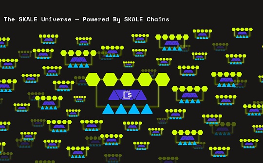 金色观察｜一文读懂SKALE Network