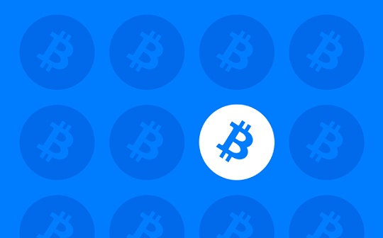 比特币标准: 稀有资产能改善世界吗？
