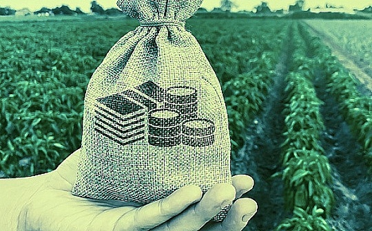 IDEG合伙人：未来四年加密货币行业的五个趋势和三个投资策略