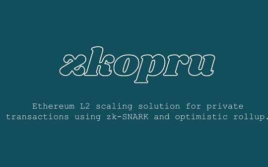 金色观察|什么是zkopru?