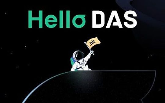 Web 3世界不再需要无数个账号 有DAS就够了