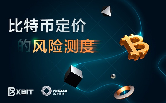比特币定价的风险测度