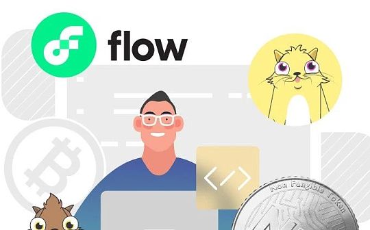 BOR:Flow VS 以太坊：深度对比两条公链以及合约开发语言_NFTY价格