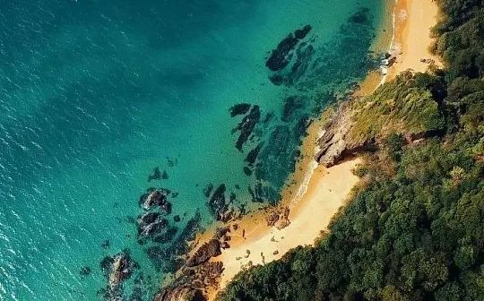 破解流动性难题：NFT租赁
