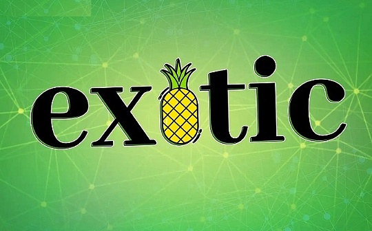 将投资策略化繁为简 Exotic Markets想成为“加密私人银行”