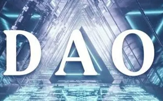 专访「国人 DAO 大败局」作者：校园之外的少年游民