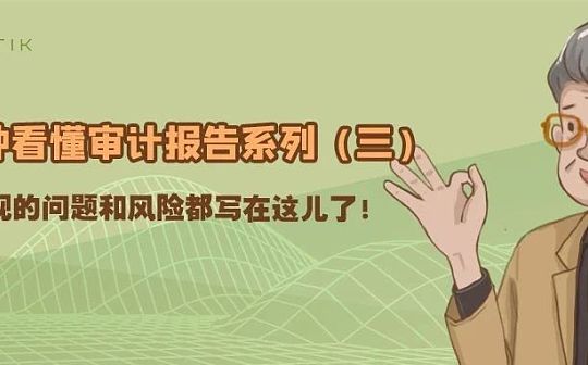 看懂审计报告（三）：项目发现的问题和风险都写在这儿了