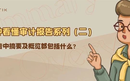 看懂审计报告（二）：审计报告中摘要及概览都包括什么？
