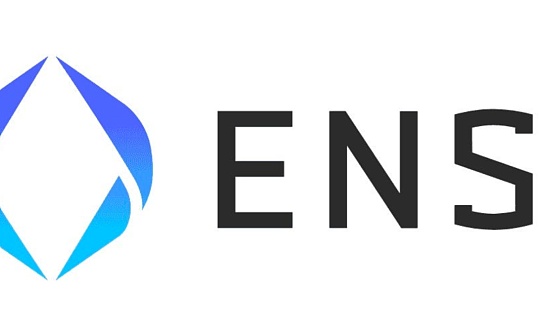DAO:全方位解析ENS项目表现和交易数据：近一年营收增长超过八倍_ethicaljudgement