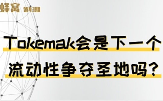 Tokemak会是下一个流动性争夺圣地吗？