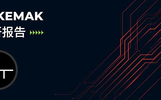 投研报告：TOKEMAK项目解析