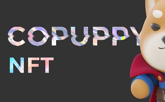 CoPuppy新手最强攻略教程（建议收藏）
