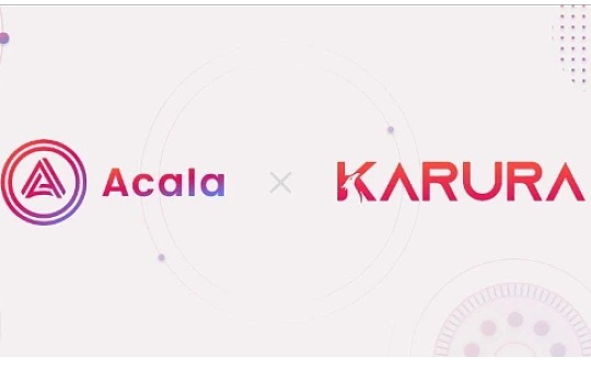 Acala和 Karura：经济模型须知与防指南