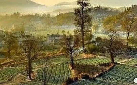 METAD:对话黄孙权、MetaDAO：在元宇宙复现「乡建中国」_METAD币