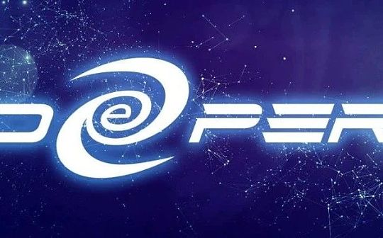 Deeper Network 项目分析报告