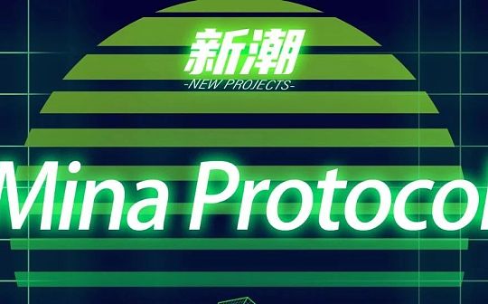 轻量级区块链协议Mina Protocol