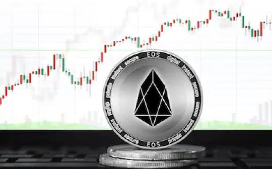 金色内参：佛系持币到底靠不靠谱？