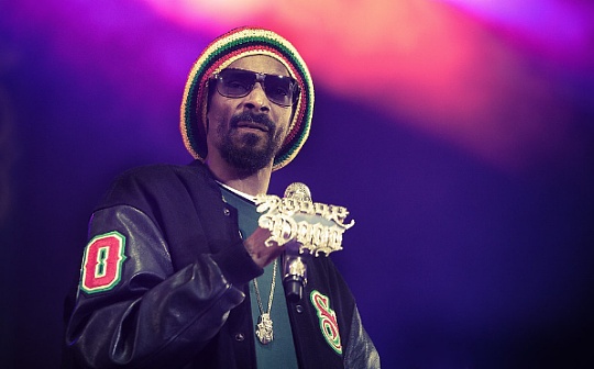 NFT:NFT行业的三大区块链之一引起了Snoop Dogg的强烈兴趣,究竟有何潜力？_区块链