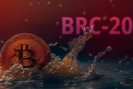 UNI:保姆级教程：手把手教你如何铸造Brc-20代币_VeriSafe