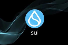 SUI:Sui Network主网初体验：真的如此顺滑吗？_speednetwork